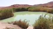 ثبت و شناسایی «آب‌تلخه لاسجرد» سمنان به‌عنوان تالاب
