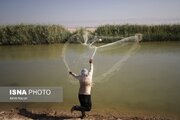 پیشنهاد ایجاد دهکده امنیت غذایی در منطقه چابهار