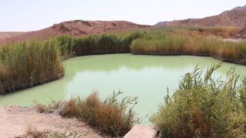 ثبت و شناسایی «آب‌تلخه لاسجرد» شهرستان سرخه به‌عنوان تالاب