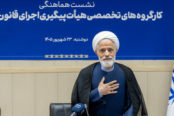 حجت‌الاسلام و المسلمین مجید انصاری، معاون حقوقی رئیس‌جمهوردر نشست هم اندیشی هیات پیگیری اجرای قانون اساسی