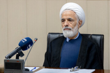 حجت‌الاسلام و المسلمین مجید انصاری، معاون حقوقی رئیس‌جمهوردر نشست هم اندیشی هیات پیگیری اجرای قانون اساسی
