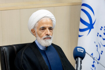 حجت‌الاسلام و المسلمین مجید انصاری، معاون حقوقی رئیس‌جمهوردر نشست هم اندیشی هیات پیگیری اجرای قانون اساسی