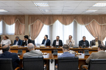 نشست هم اندیشی هیات پیگیری اجرای قانون اساسی