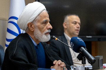 حجت‌الاسلام و المسلمین مجید انصاری، معاون حقوقی رئیس‌جمهوردر نشست هم اندیشی هیات پیگیری اجرای قانون اساسی