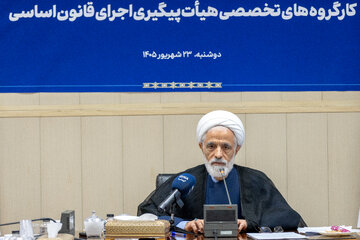 حجت‌الاسلام و المسلمین مجید انصاری، معاون حقوقی رئیس‌جمهوردر نشست هم اندیشی هیات پیگیری اجرای قانون اساسی