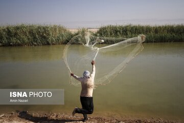 پیشنهاد ایجاد دهکده امنیت غذایی در منطقه چابهار