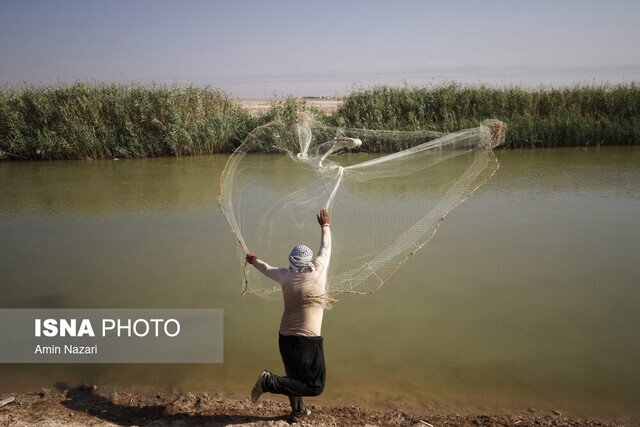 پیشنهاد ایجاد دهکده امنیت غذایی در منطقه چابهار