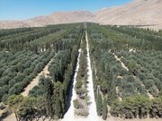 فاز نخست باغ ۲۴۰ هکتاری «زندگی» در شیراز به بهره‌برداری می‌رسد