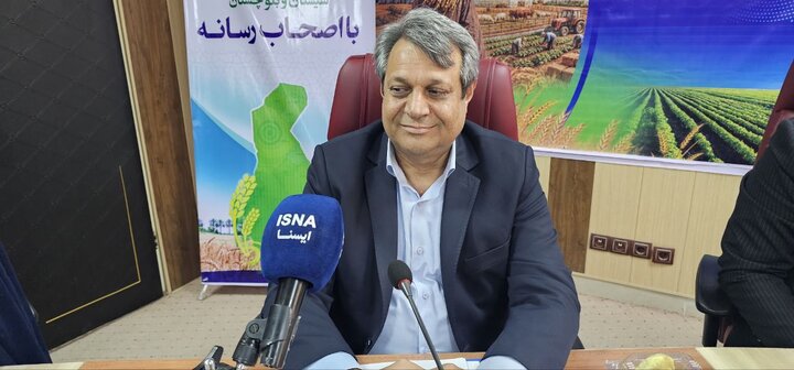 سهم ۷ هزار تنی سیستان و بلوچستان در تامین گوشت سایر استانها
