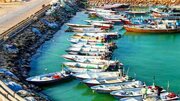 پیگیری ایجاد یا واگذاری جایگاه سوخت به تعاونی‌های صید و صیادی