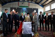 رقم جدید «پسته حسینی» در قم رونمایی شد