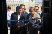نماینده بوشهر: چرا قطب صید و میگوی کشور باید یخ وارد کند؟