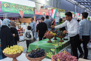 یکی از قدیمی ترین جشن ها در ارومیه و آذربایجان غربی جشن ها و مراسمات سنتی در حول محور انگور هنگام برداشت آن است 