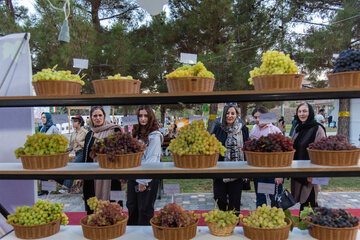 یکی از قدیمی ترین جشن ها در ارومیه و آذربایجان غربی جشن ها و مراسمات سنتی در حول محور انگور هنگام برداشت آن است 