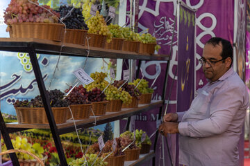 جشنواره انگور ارومیه