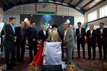 رقم جدید «پسته حسینی» در قم رونمایی شد