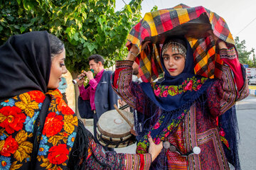 جشن عروسی از ابتدا تا پایان دارای مراحل گوناگونی است که شامل نشان کردن، خواستگاری، قند شکستن، خرید عروسی، عیدی بردن، حنابندان، عروس برون و پاتختی میشود. همچنین گفته میشود که کردها بیشتر درون فامیلی و درون گروهی ازدواج میکنند.