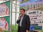 گلخانه‌ طاهرآباد؛ گامی استراتژیک در راستای امنیت غذایی و توسعه کشاورزی پایدار کاشان
