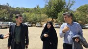 تثبیت مالکیت و اخذ سند تک‌برگ؛ اولویت اصلی در صیانت از اموال غیرمنقول دولت در همدان