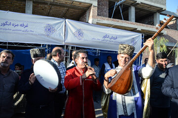 هشتمین جشنواره ملی انگور و دوشاب ملکان