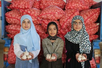 جشنواره ملی سیر و موسیر روستای سولان - همدان