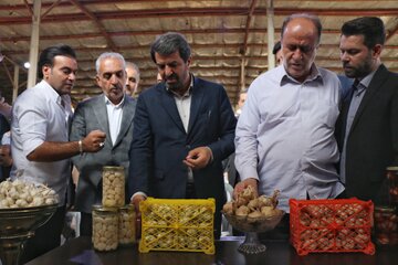 جشنواره ملی سیر و موسیر روستای سولان - همدان
