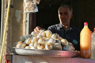 جشنواره ملی سیر و موسیر روستای سولان - همدان
