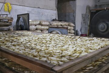 جشنواره ملی سیر و موسیر روستای سولان - همدان