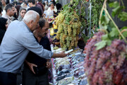 جشنواره انگور ارومیه در تقویم رویدادهای گردشگری ایران ثبت شد