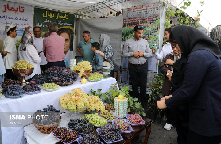مشگین‌شهر جایی که یک دانه انگور می‌تواند چرخ گردشگری را بچرخاند