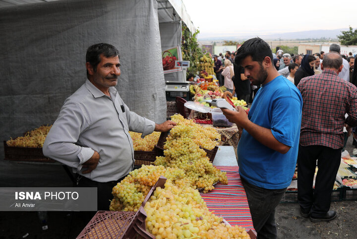 مشگین‌شهر جایی که یک دانه انگور می‌تواند چرخ گردشگری را بچرخاند