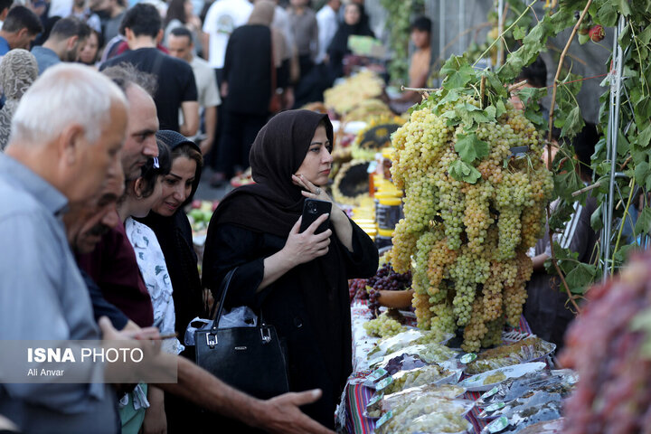 مشگینشهر جایی که یک دانه انگور میتواند چرخ گردشگری را بچرخاند