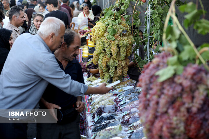 مشگین‌شهر جایی که یک دانه انگور می‌تواند چرخ گردشگری را بچرخاند