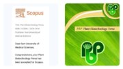 برای نخستین‌بار در تاریخ علمی استان؛ یک مجله دانشگاهی ایلام به Scopus راه یافت
