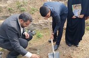 پیوند آموزش و مقاومت در بهشهر؛ کاشت ۱۶۸ نهال به یاد شهدای مدرسه میناب