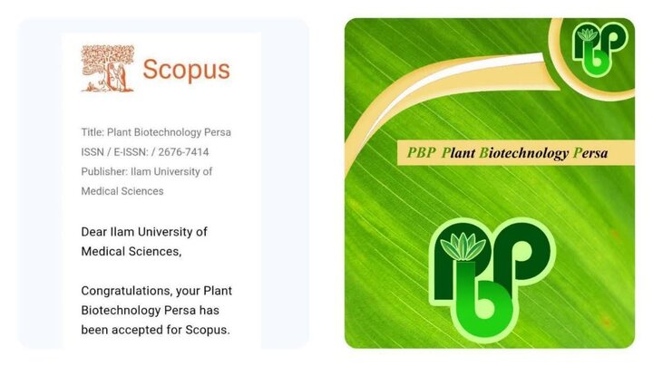 راهیابی یک مجله دانشگاهی ایلام به Scopus