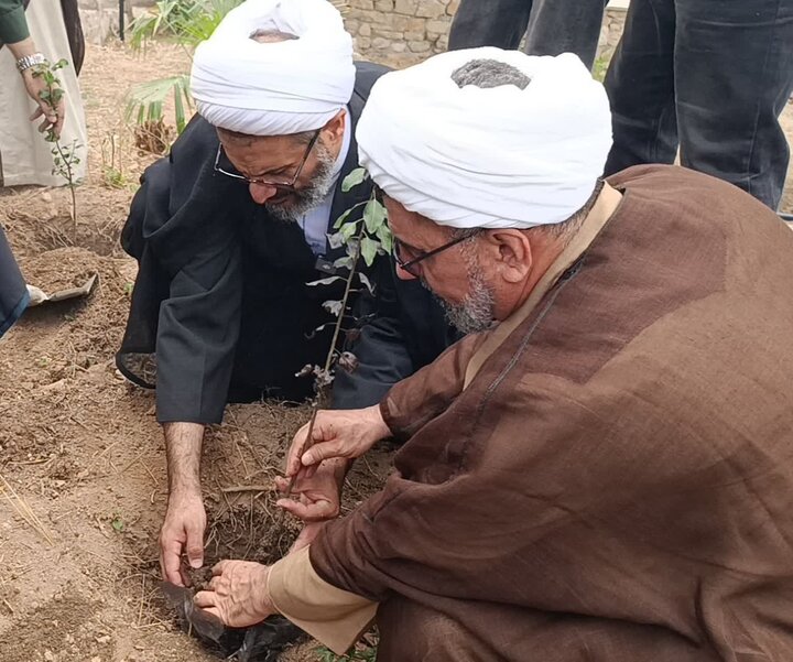 پیوند آموزش و مقاومت در بهشهر؛ کاشت ۱۶۸ نهال به یاد شهدای مدرسه میناب