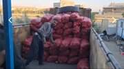 نقش محوری  تعاون روستایی همدان در تأمین روزانه بیش از ۱۰۰ تن سیب‌زمینی برای بازار تهران