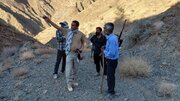 بخشدار شهداد: مسیر  دسترسی کوه‌جفتان با نقشه‌برداری پهپادی، نهایی می‌شود