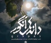 «دانه‌های انگور» بی سر و صدا اکران شد
