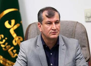 همدان سالانه ۴.۵ میلیون تن محصول کشاورزی تولید می‌کند/ایران رتبه دوم تولید هلو و شلیل