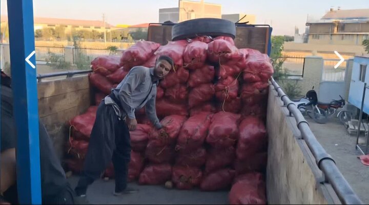 نقش محوری  تعاون روستایی همدان در تأمین روزانه بیش از ۱۰۰ تن سیب‌زمینی برای بازار تهران
