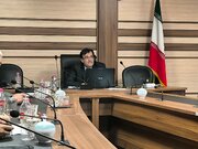 استاد دانشگاه: هند در سیاست خارجی خود با توجه به تحولات منطقه سعی بر حفظ تعادل دارد