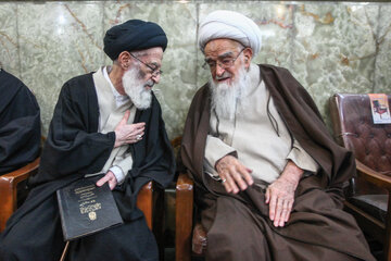 آیت الله سید موسی شبیری زنجانی
