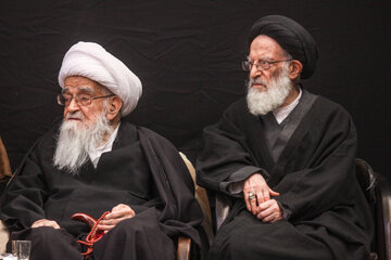 آیت الله سید موسی شبیری زنجانی