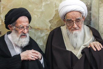 آیت الله سید موسی شبیری زنجانی