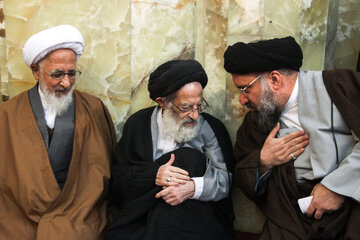 آیت الله سید موسی شبیری زنجانی