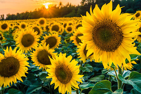 کاهش ۲ درجه‌ای دمای همدان در روزهای پیش‌رو