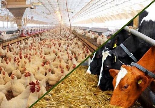 آغاز توزیع نهاده‌های کشاورزی کشت پاییزه در استان تهران