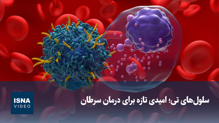 سلول‌های تی؛ امیدی تازه برای درمان سرطان